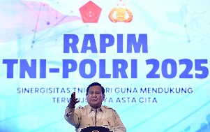 rapim 2